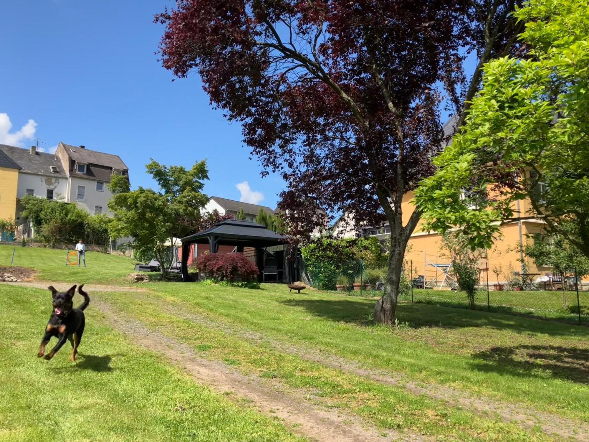 Neu - Ferienwohnungen Im Winzergarten Traben-Trarbach Exterior foto